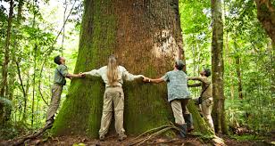 Resultado de imagem para imagens de pessoas se abraçando paisagens ver