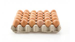 ¿Cómo saber si los huevos que compraste tienen salmonela? Retiran más de 19 millones de unidades