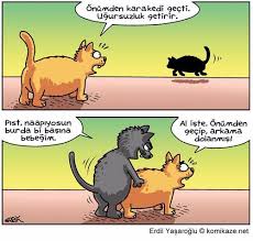 Erdil Yaşaroğlu ile ilgili görsel sonucu