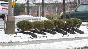 See how much snow is expected by North Jersey town for next storm