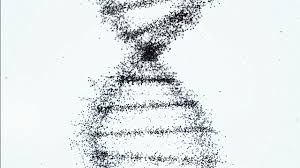 Résultat de recherche d'images pour "white dna"