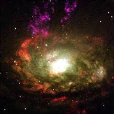 Image result for circinus galaxy
