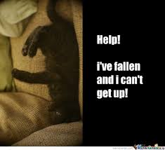 Résultat de recherche d'images pour "help i've fallen and i can't get up"