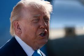 Trump deve abordar urnas eletrônicas em discurso na quinta-feira (16)