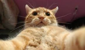 /></p> <p><br/> Back on January 24, 1848-1858 women like these panned for gold.....It looks like they are wearing the latest 