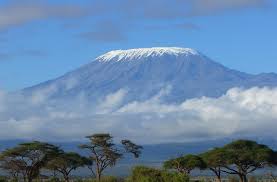 Tokeo la picha la kilimanjaro national park
