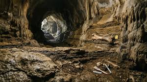 Muito antes dos humanos chegarem, uma caverna da Nova Zelândia preservou um mundo perdido: papagaios ancestrais, aves gigantes e milhões de anos de mudanças climáticas