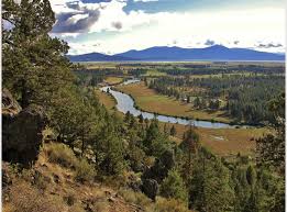 Image result for williamson river