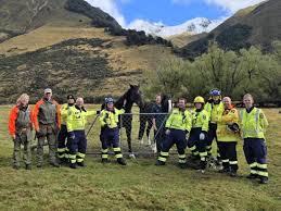 DOC ranger saves suffocating horse with angle grinder