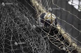 Handbal masculin: Danemarca - Islanda și Germania - Croația, în semifinalele EURO 2026