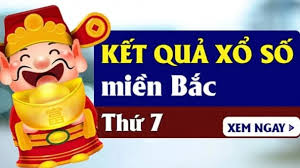 Pháp Luật và Xã hội - News update