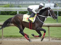 Image result for kentucky derby images 2016 ago