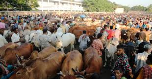 Image result for হাট বাজার নীতিমালা