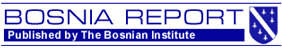 bosnian report logo