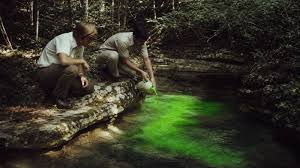 Em 1981, cientistas despejaram corante fluorescente em sumidouros do Kentucky para mapear por onde a água corria embaixo da terra, e descobriram que a maior caverna do mundo bebe de uma área muito maior do que o parque que a protege; o Brasil te