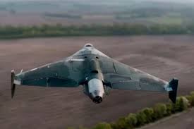 герань-4