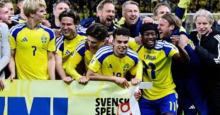 Ayari discusses Potter, Sweden, Tunisia and a family passion for the World Cup