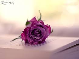 Image result for ‫عشق‬&lrm;