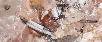 News source: Yahoo!ニュース