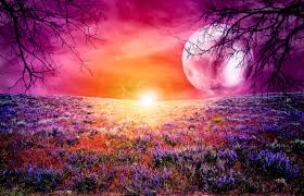 Znalezione obrazy dla zapytania fantasy