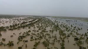 News source: Australian Broadcasting Corporation