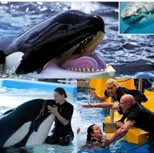 Contact on my WhatsApp https://Wa.me/+923087844866 1️⃣invideo ai ✓six Months Package ✓one year Package 2️⃣Heygen ai ✓six months Package ✓one year Package 3️⃣hailuo ai ✓six months Package ✓one year Package 4️⃣Gamma ai ✓six