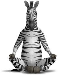 نتيجة بحث الصور عن ‪Zebra‬‏