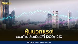 pptvhd36.com - News update