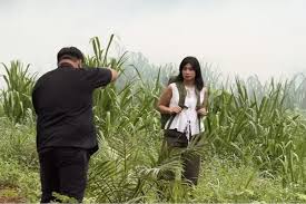 Lombok Post - News update