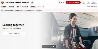 일본항공 예약시스템 뚫렸다…9만명 개인정보 노출
