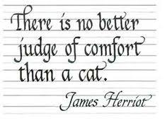 Animals By James Herriot Quotes. QuotesGram via Relatably.com