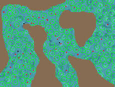 Résultat de recherche d'images pour "poisson disk"