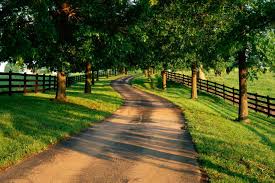 Image result for beautifull image