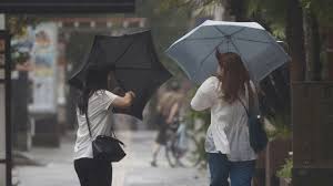 Alerta en Mendoza: Zonda, Frío y Nieve Impactarán la Provincia - Imagen principal del artículo