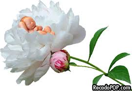 Resultado de imagem para imagens de bebe