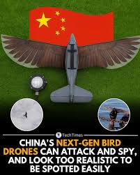 China and Pakistan developing drone to counter India's air defense