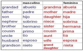 Resultado de imagen de la familia en ingles ejercicios