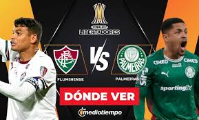 Fluminense vs. Palmeiras EN VIVO: ¿A qué hora y dónde ver HOY Semifinal Ida Copa Libertadores 2026?
