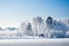 Bildresultat för snö