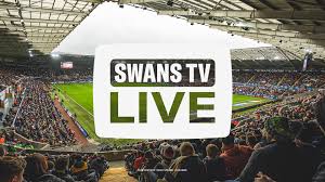 Swansea City - News update