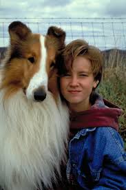 Pictures &amp; Photos from Lassie (2005) - IMDb via Relatably.com