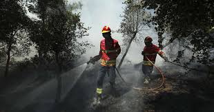 Três bombeiros sofreram ferimentos ligeiros no fogo florestal de Alandroal