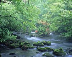 十和田・奥入瀬 東北の画像