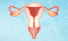 “Proposals Mount to Remove Fallopian Tubes as a Prevention Method for Ovarian Cancer”