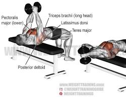 Image of Dumbbell Pullover exercise