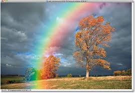 Image result for why rainbow is seen after rain