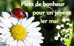 Résultat de recherche d'images pour "muguet porte bonheur"