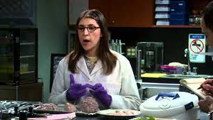 Quote Of The Day By The Big Bang Theory Star Mayim Bialik. How To ... via Relatably.com