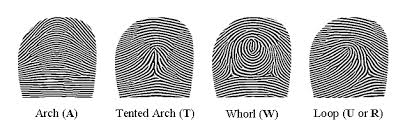 Résultat de recherche d'images pour "fingerprint types"
