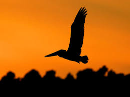 Resultado de imagen para enfrentar